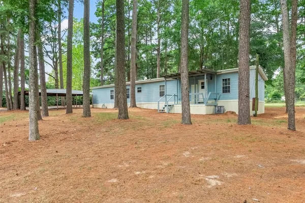 a view of a yard with plants and trees
