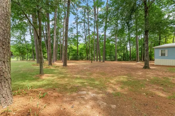 a view of a park with large trees