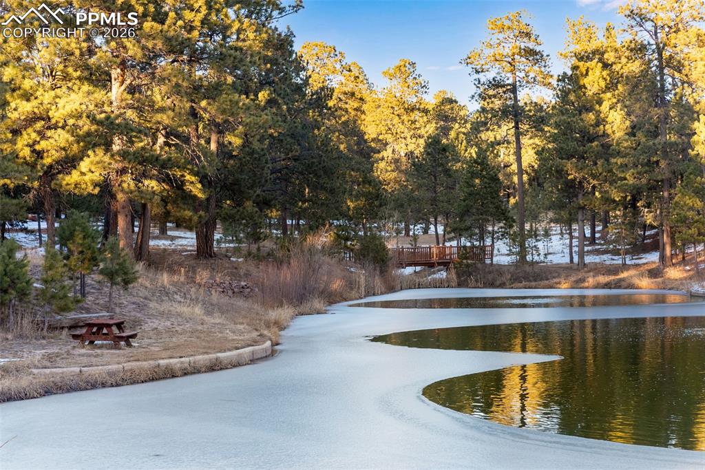16075 Winding Trail Road Colorado Springs, CO 80908 - Photo 42 of 42 a view of a swimming pool with a patio