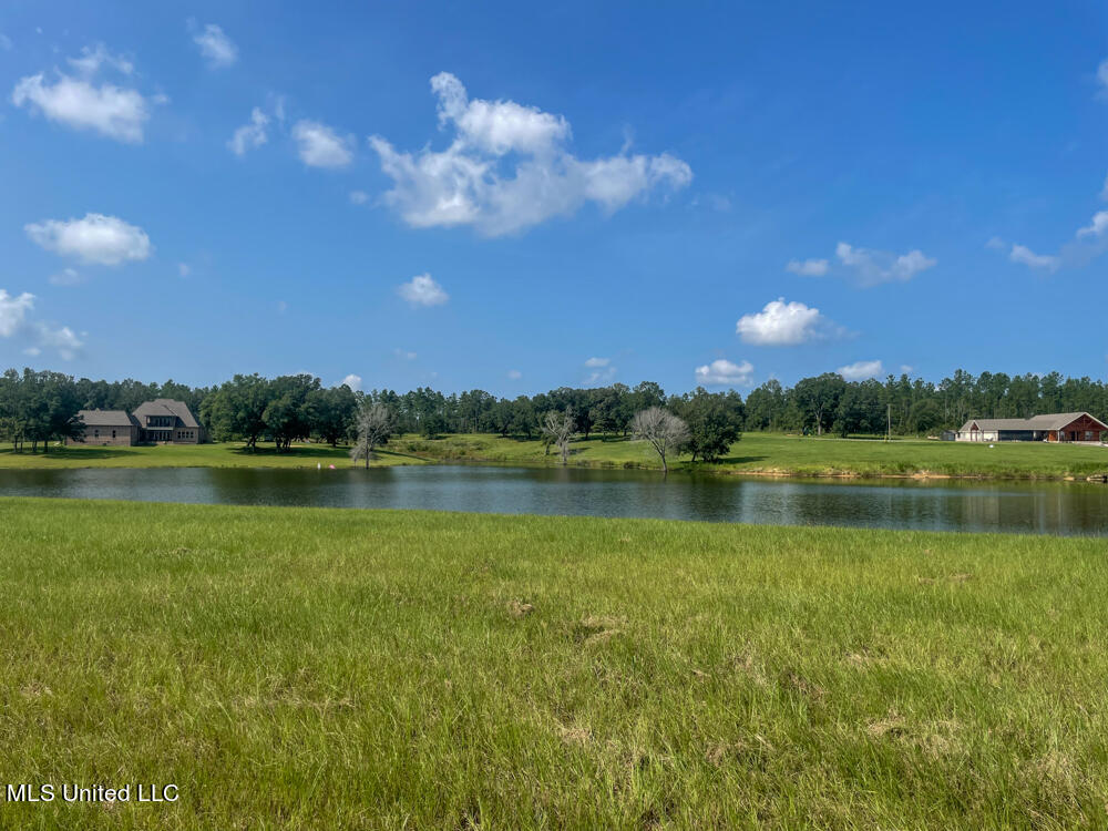 Lot 11 Conner Stringer Drive Lucedale, MS 39452 - Photo 49 of 54 IMG_2321