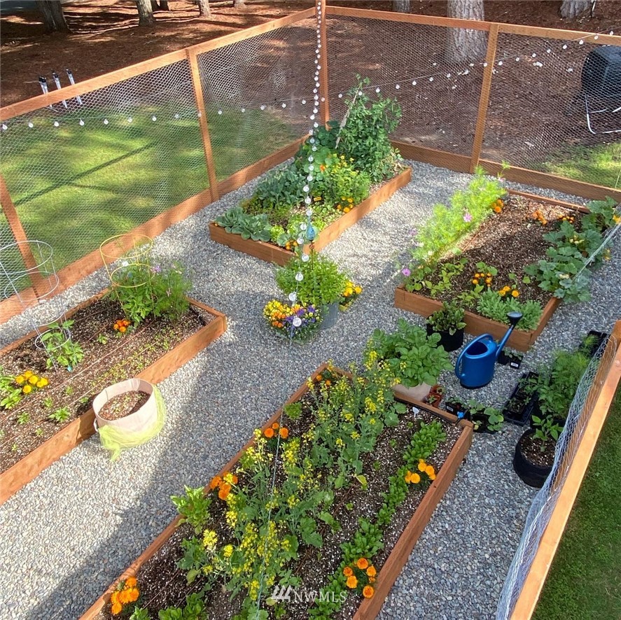 14902 175th Avenue Southeast Renton, WA 98059 - Photo 4 of 39 a view of a garden with potted plants