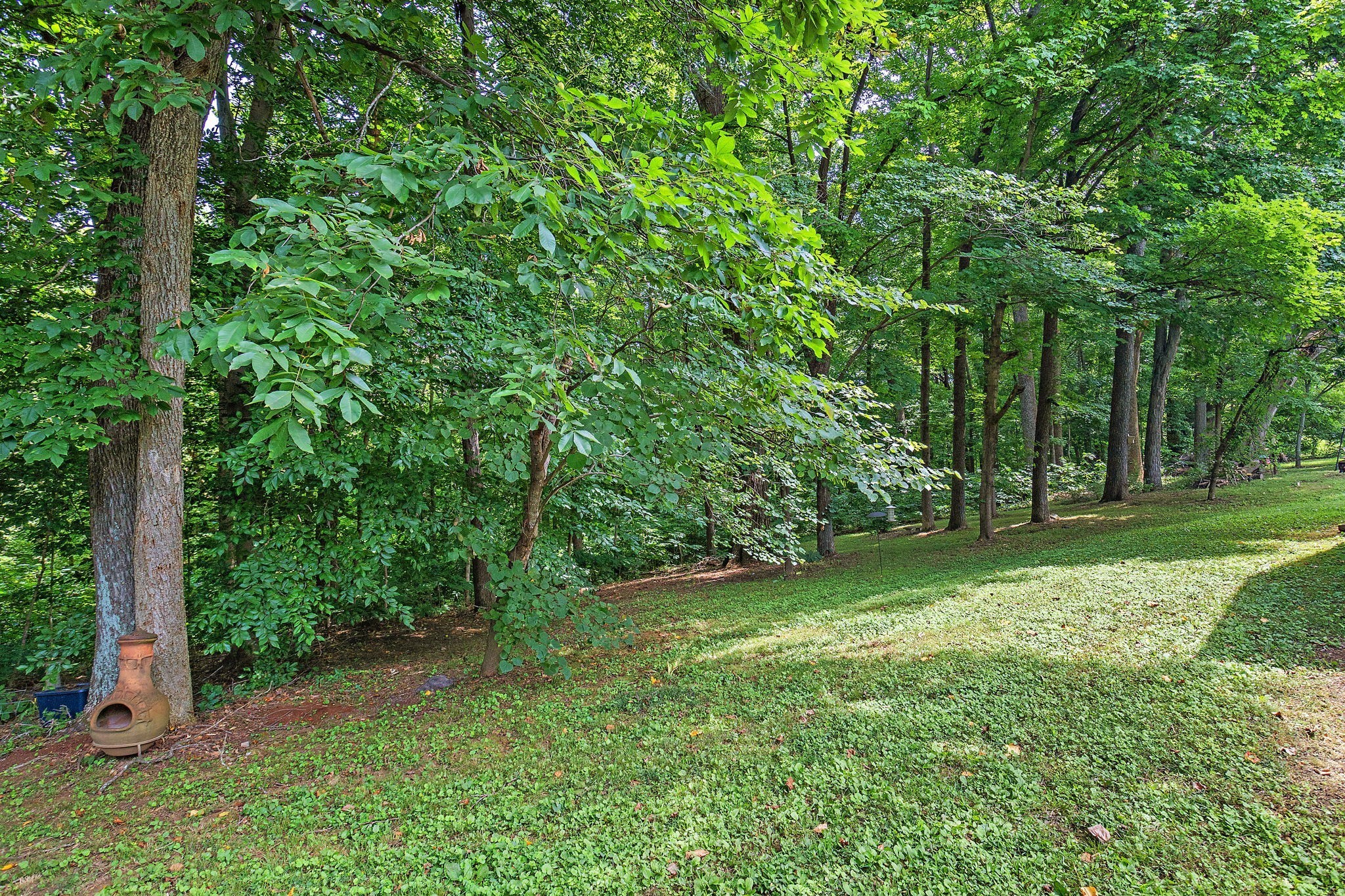 4319 Nicks Drive Springfield, TN 37172 - Photo 45 of 49