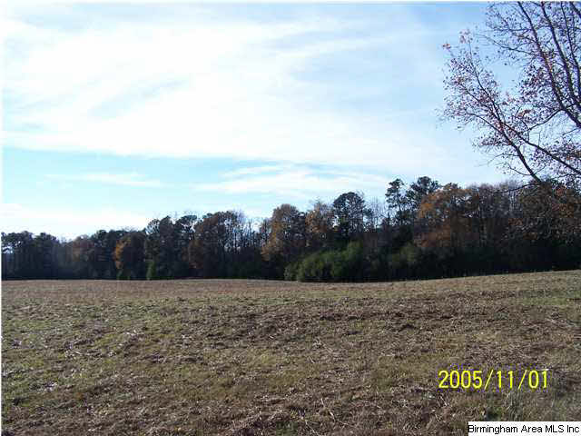 281 Timmerman Road Blountsville, AL 35031 - Photo 5 of 9