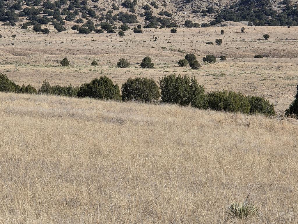 Tbd Lot 14 Tbd Road Pueblo, CO 81005 - Photo 12 of 12
