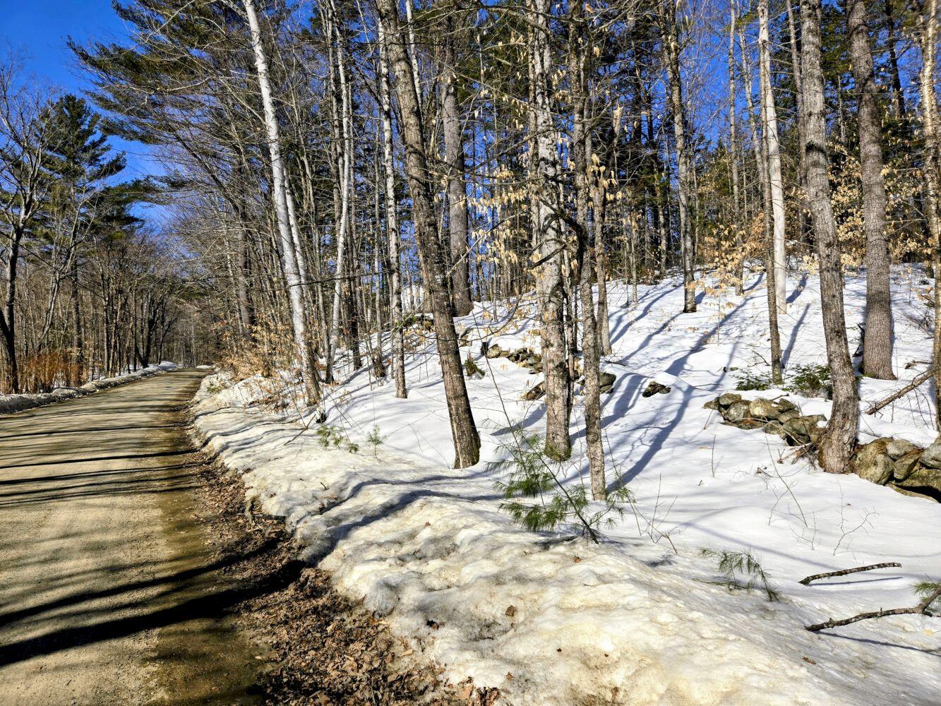 Lot 10 Staples Pond Road Temple, ME 04984 - Photo 31 of 56