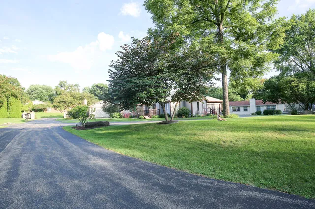 a view of a park with large trees