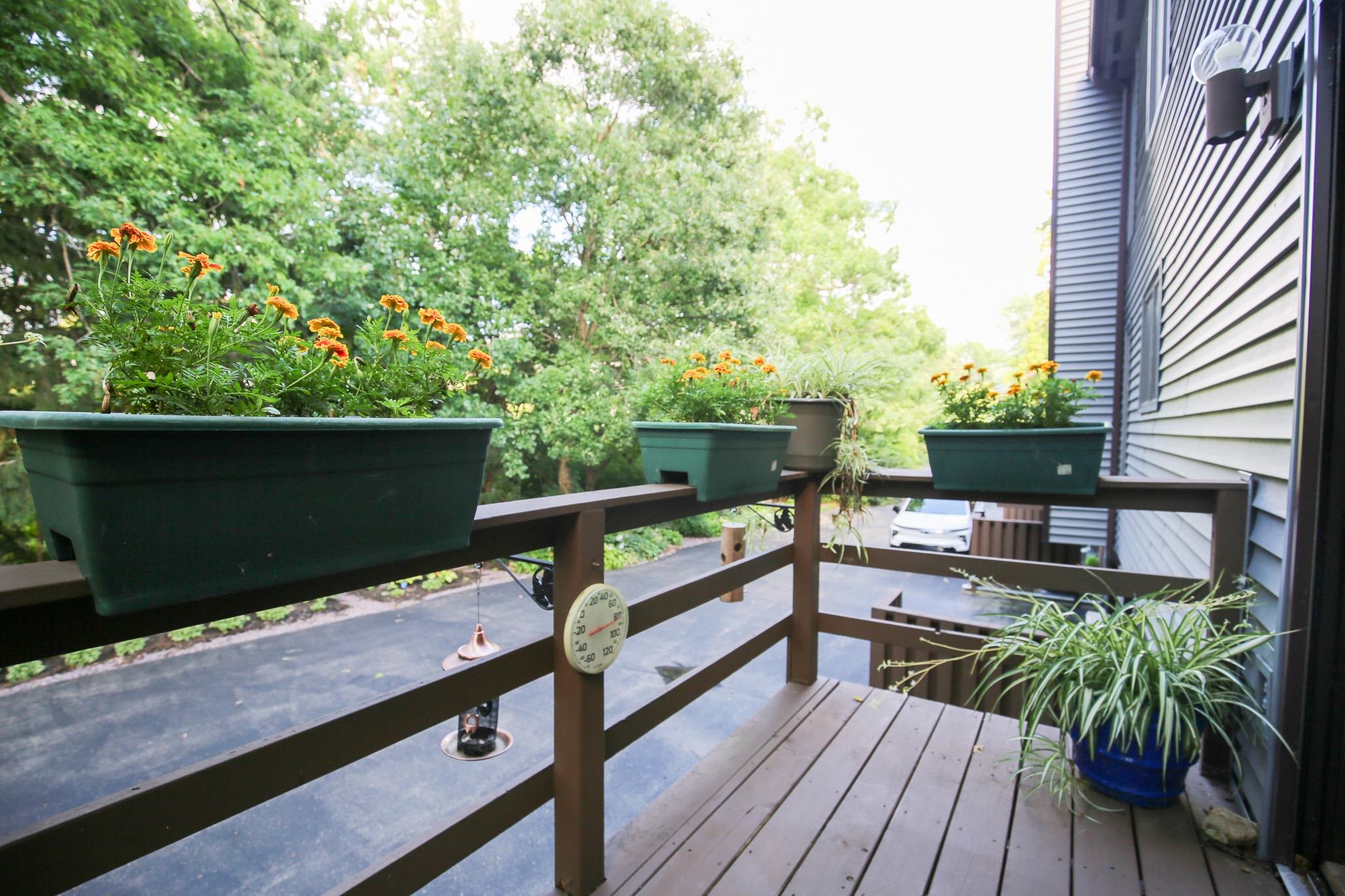 209 Fox Trot Dixon, IL 61021 - Photo 27 of 34 a view of sitting area with furniture