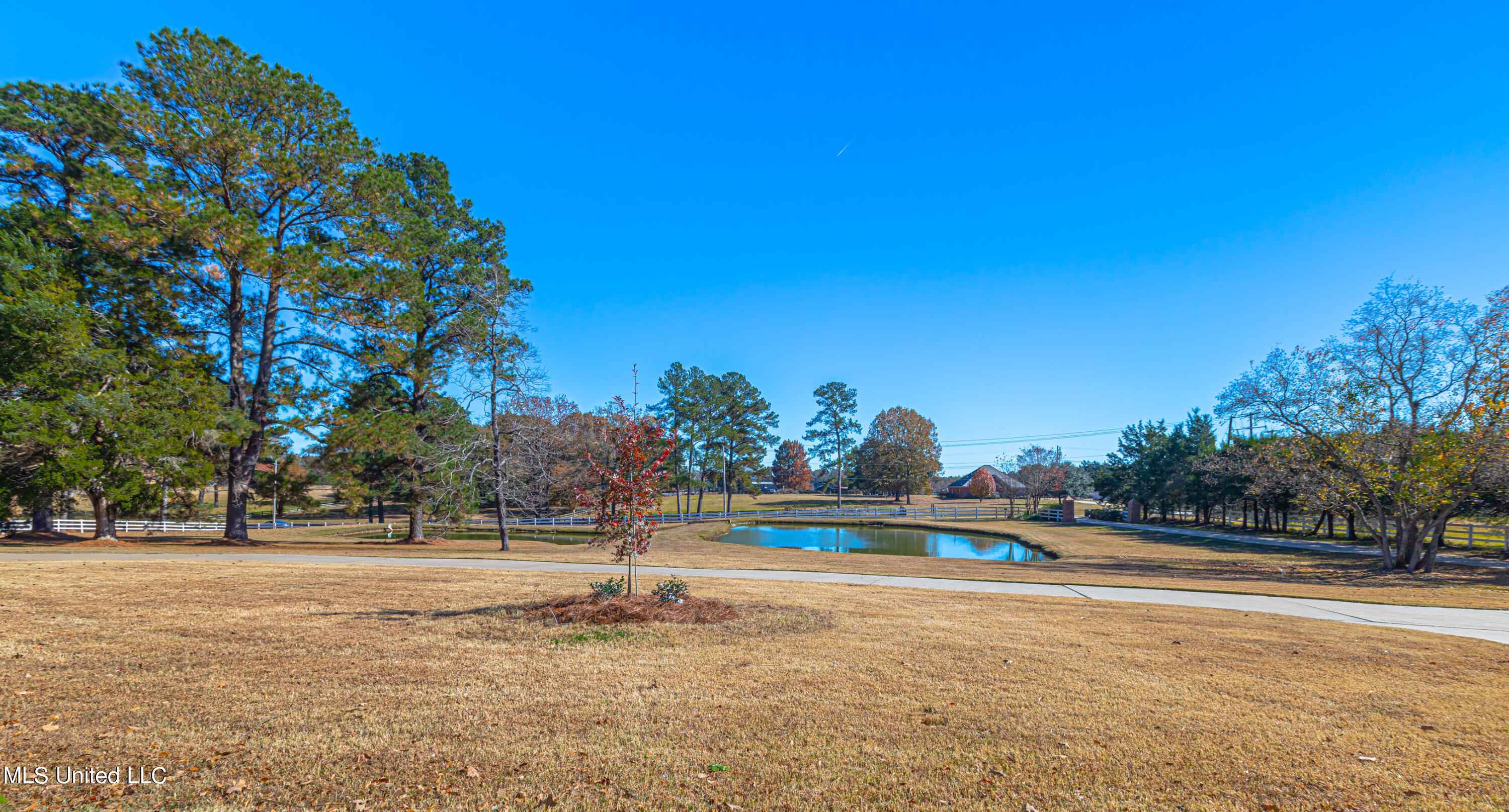 569 North Old Canton Road Madison, MS 39110 - Photo 87 of 87 926A0101