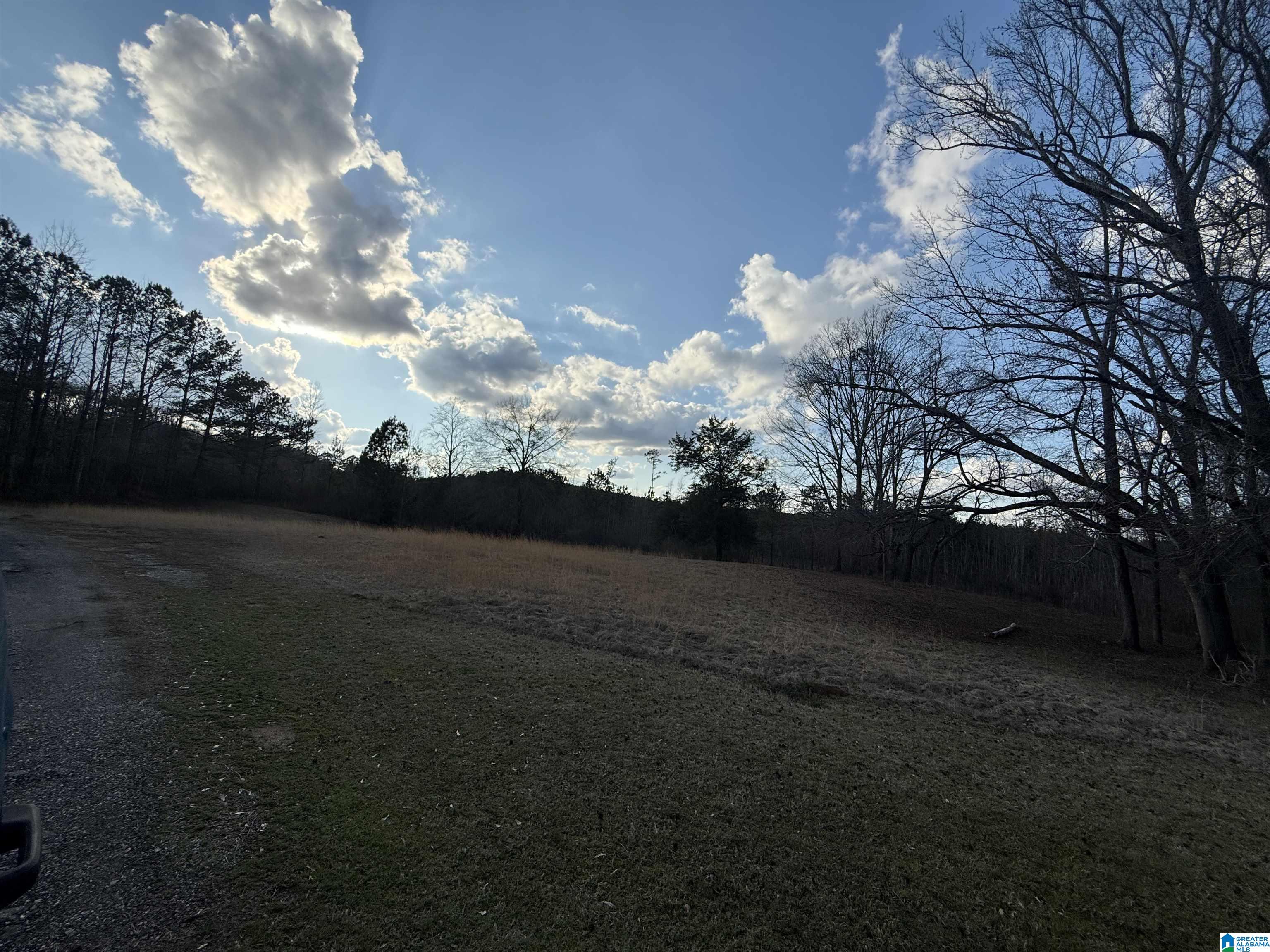 0 County Road 448 Clanton, AL 35046 - Photo 6 of 6