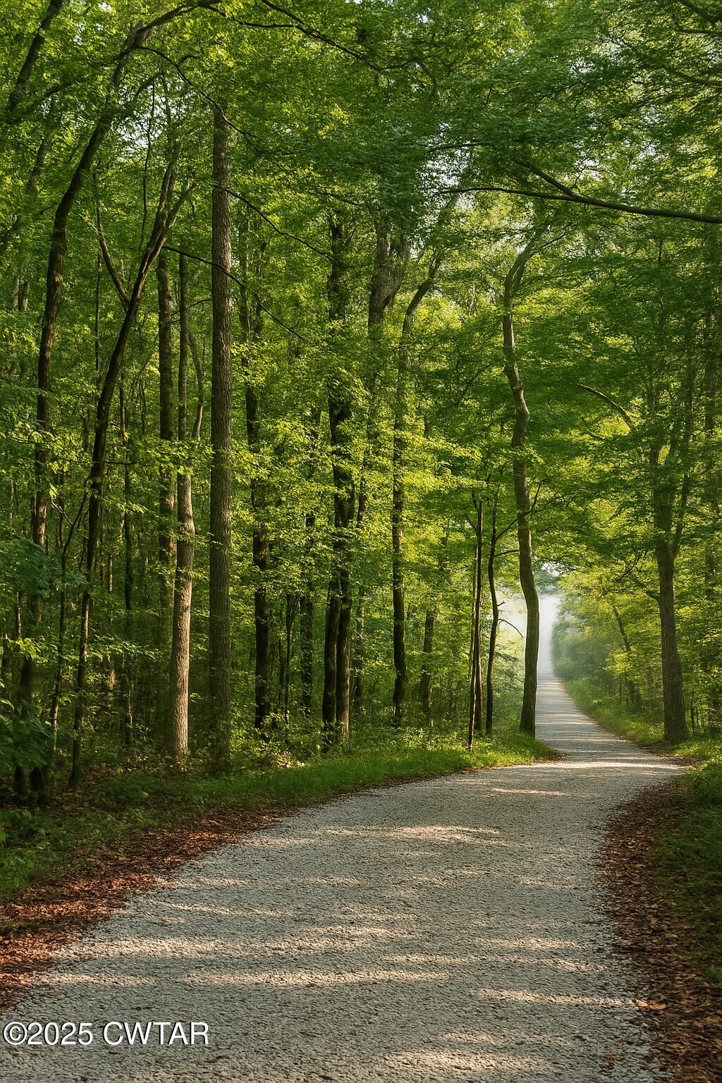 459 Liberty Road Beech Bluff, TN 38313 - Photo 3 of 32 a view of a yard