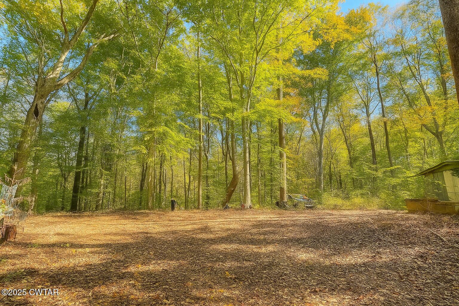 459 Liberty Road Beech Bluff, TN 38313 - Photo 31 of 32 a view of outdoor space and yard