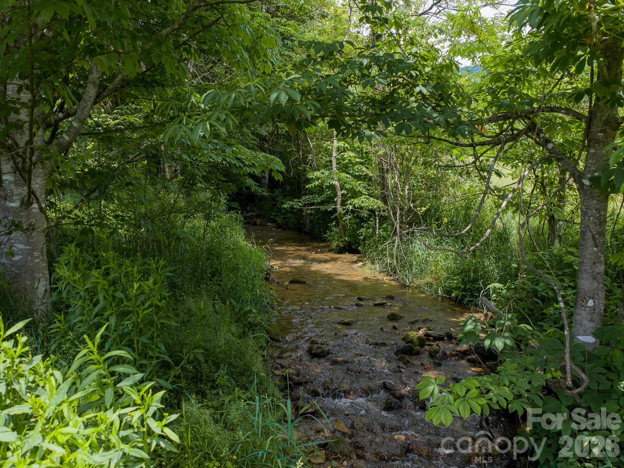 0 Sallys Branch Road Clyde, NC 28721 - Photo 14 of 22