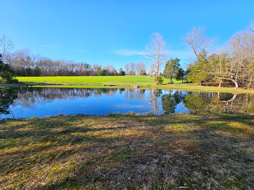 634 Salem Church Road Dillwyn, VA 23936 - Photo 1 of 36 Gallery Image 1