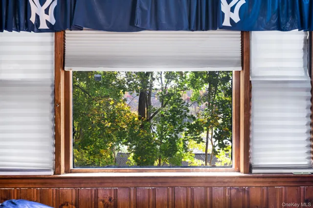 a view of a window and a tree
