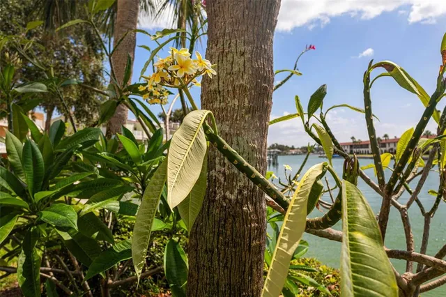 $699,900 | 459 Haven Point Drive, Treasure Island, FL 33706