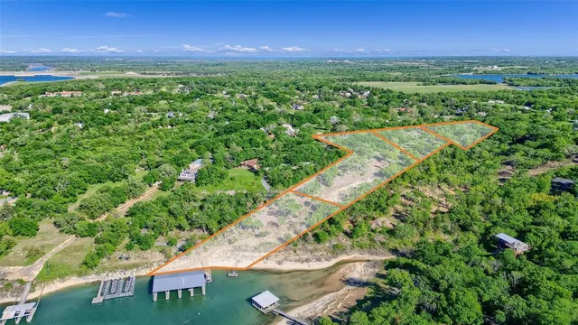 a view of a yard with plants and a yard