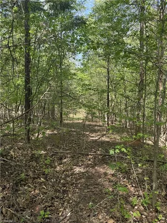 $64,900 | 0 Cashatt Road, Trinity, NC 27370