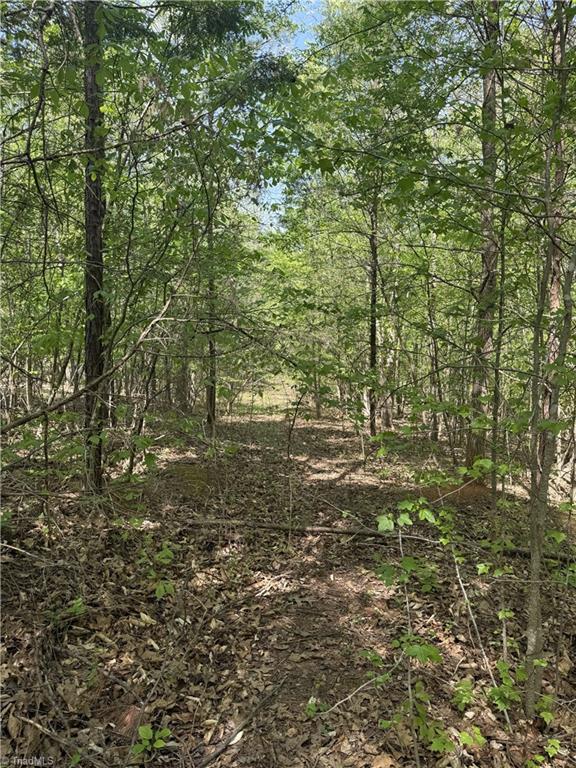 0 Cashatt Road Trinity, NC 27370 - Photo 11 of 16