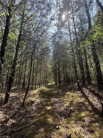 $64,900 | 0 Cashatt Road, Trinity, NC 27370