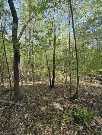 $64,900 | 0 Cashatt Road, Trinity, NC 27370