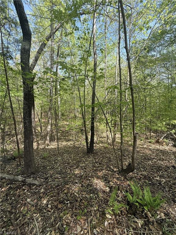 0 Cashatt Road Trinity, NC 27370 - Photo 13 of 16