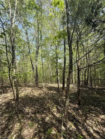 $64,900 | 0 Cashatt Road, Trinity, NC 27370