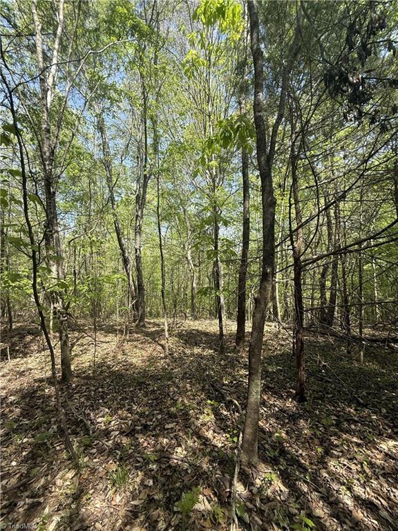 0 Cashatt Road Trinity, NC 27370 - Photo 14 of 16