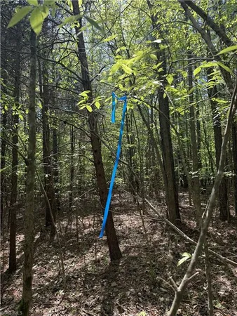 $64,900 | 0 Cashatt Road, Trinity, NC 27370