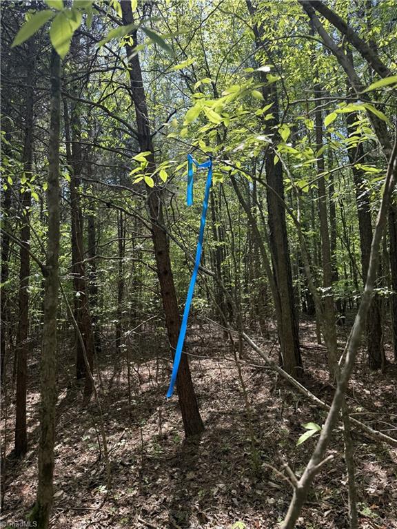 0 Cashatt Road Trinity, NC 27370 - Photo 16 of 16