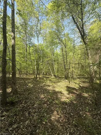 $64,900 | 0 Cashatt Road, Trinity, NC 27370