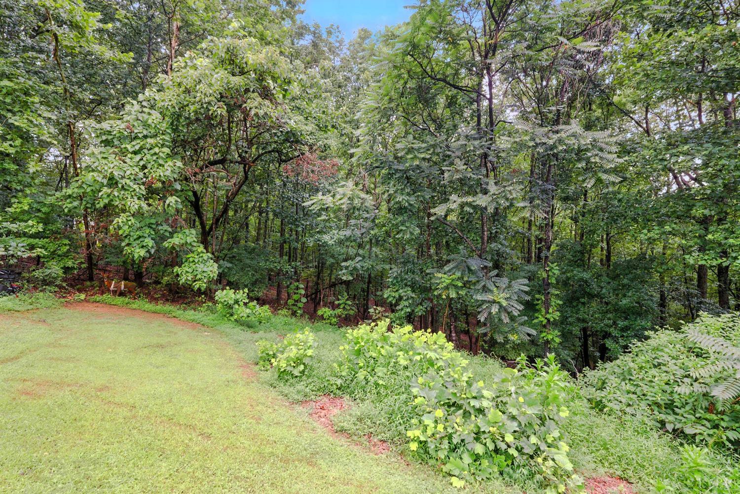 199 Braxton Ridge Road Amherst, VA 24521 - Photo 44 of 60