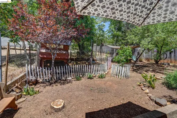 a view of a park with a tree