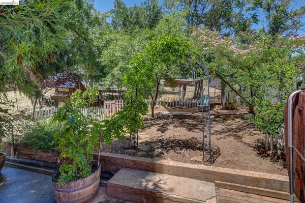 a view of a backyard with table and chairs potted plants and large tree