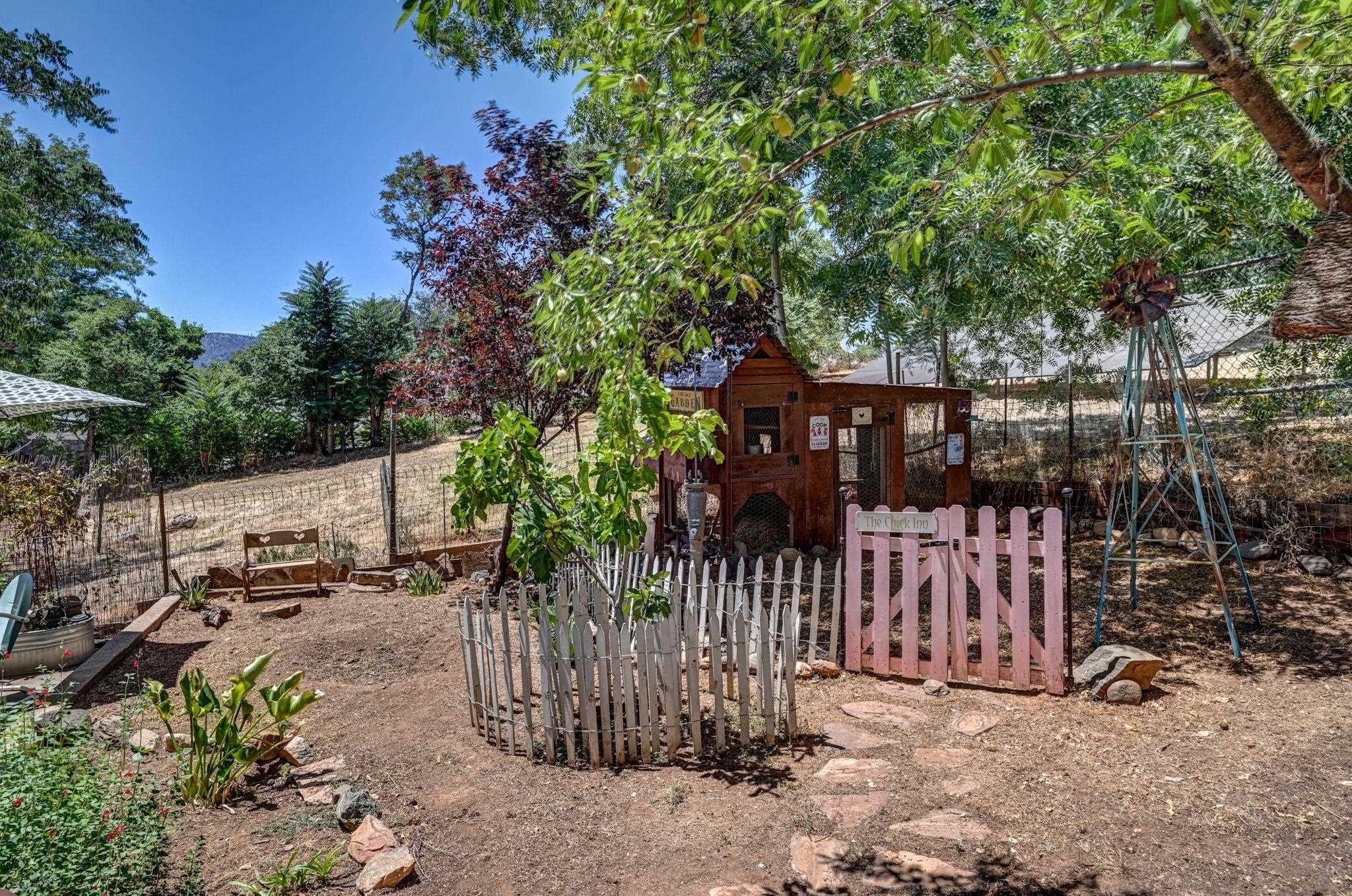 213 Main Street San Andreas, CA 95249 - Photo 48 of 53 a view of a park with a tree