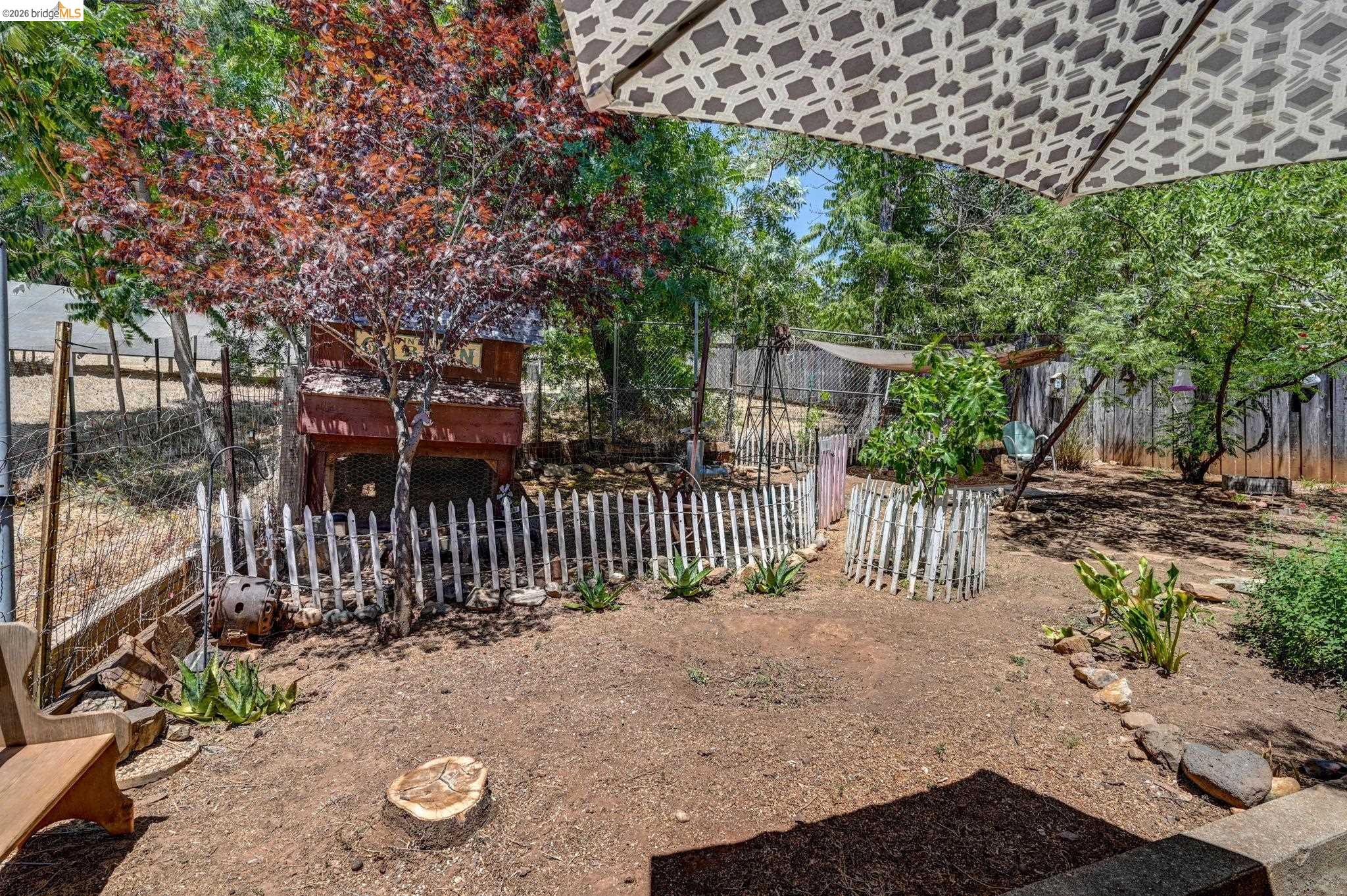 213 Main Street San Andreas, CA 95249 - Photo 48 of 55 View of fenced backyard and great outdoor area for pets, kids, fruit trees and garden. Sold with hot tub and chicken coop
