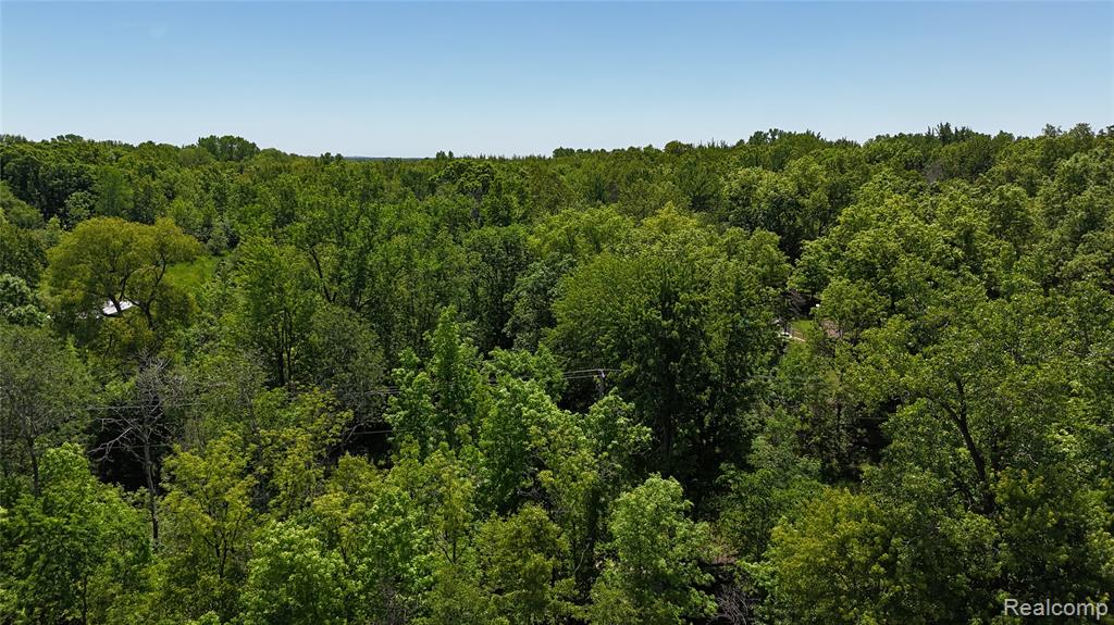 0 Williams Road Gaines, MI 48436 - Photo 12 of 28