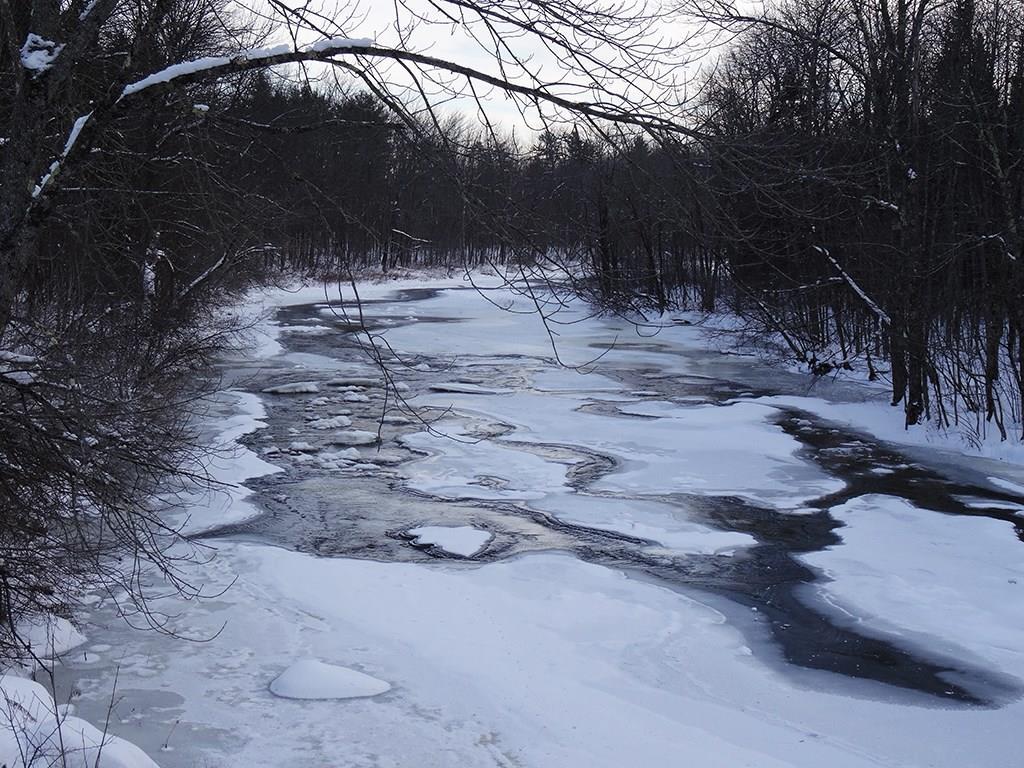 Lot 007 Fitz Lane Corinth, ME 04427 - Photo 1 of 6 Photo