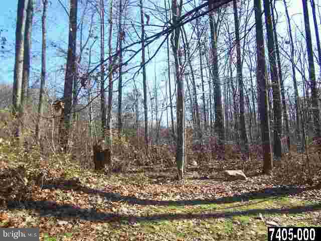 7728 Gnatstown Road Hanover, PA 17331 - Photo 8 of 25 a view of a yard with large trees