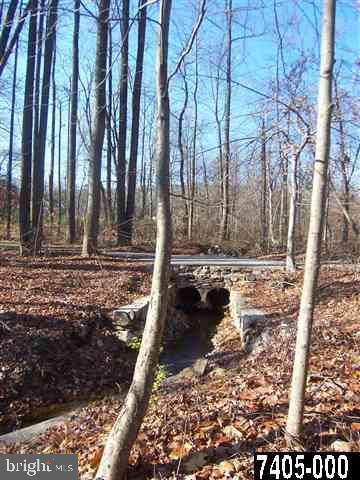 7728 Gnatstown Road Hanover, PA 17331 - Photo 10 of 25 a view of a yard with trees