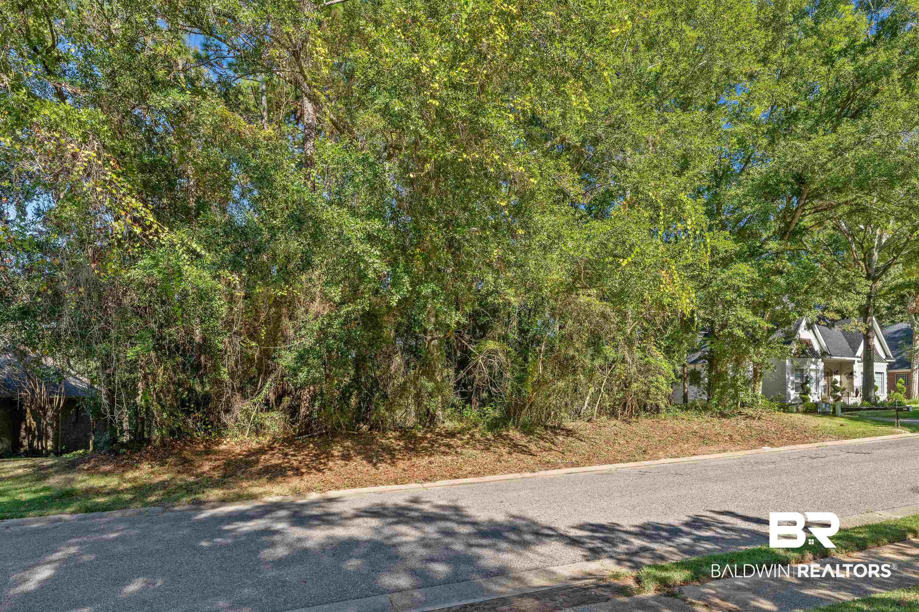 116 McIntosh Bluff Road Fairhope, AL 36532 - Photo 5 of 17 View of asphalt street
