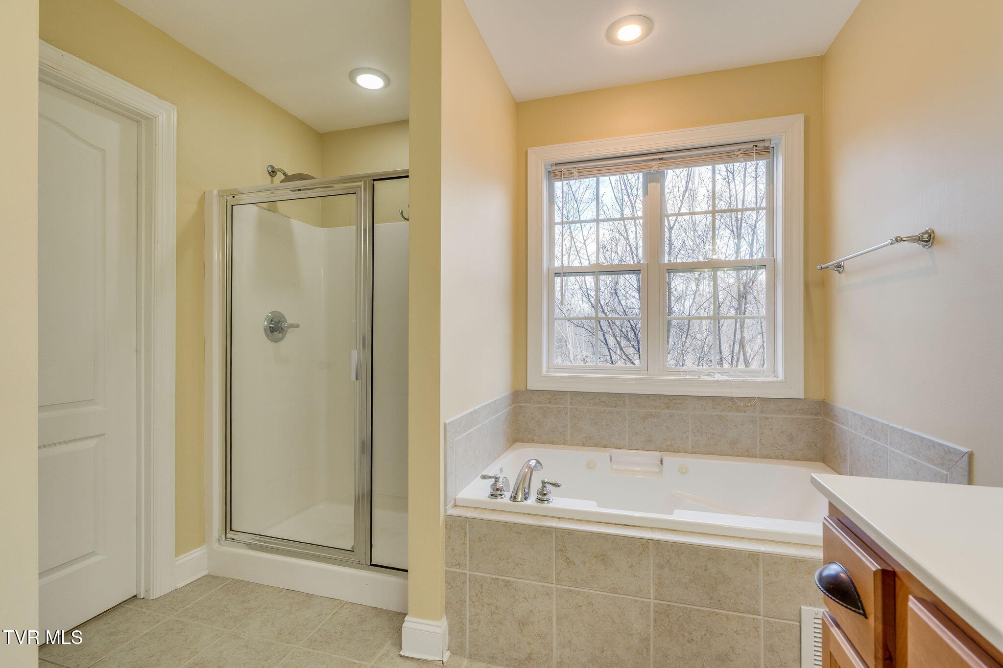 207 Michaels Ridge Boulevard Johnson City, TN 37615 - Photo 29 of 49 022