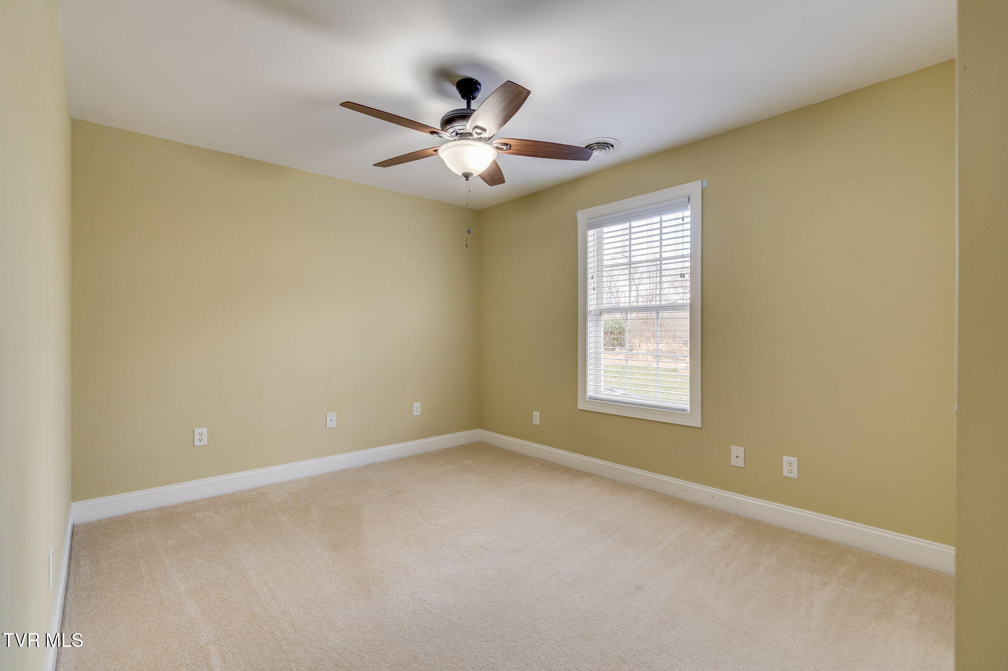 207 Michaels Ridge Boulevard Johnson City, TN 37615 - Photo 38 of 49 031