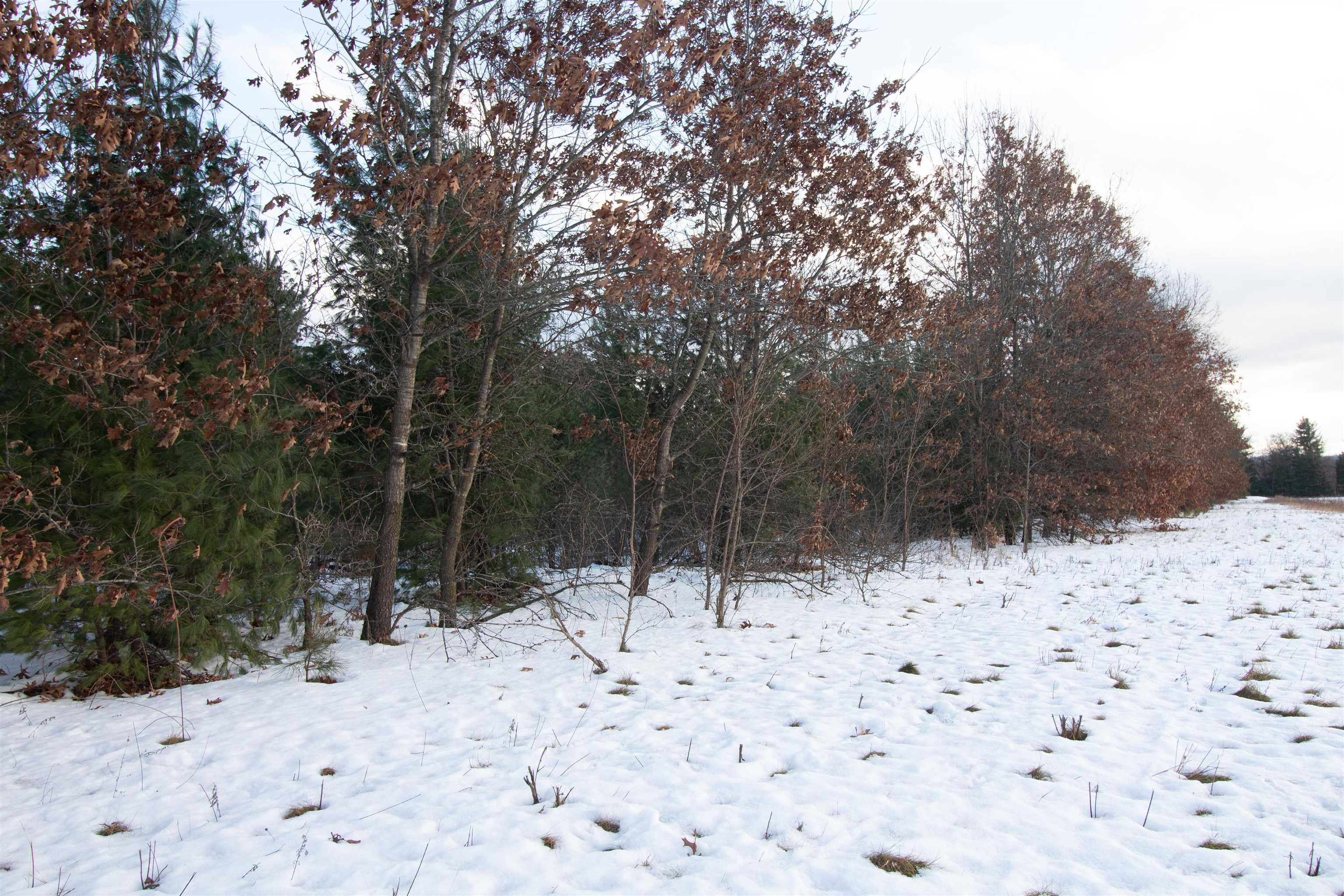 Lot20 Timber Spring Green, WI 53588 - Photo 11 of 28