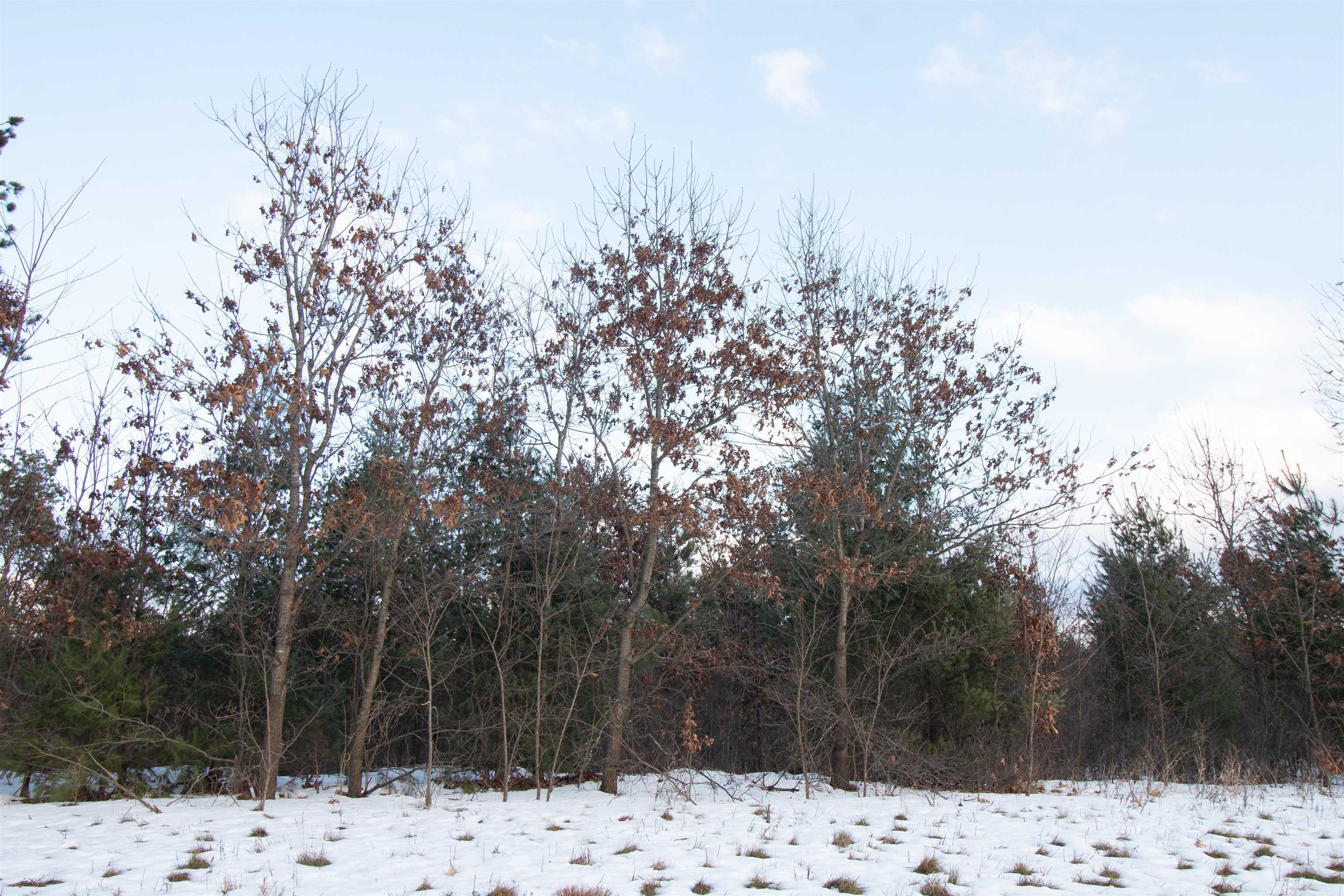 Lot20 Timber Spring Green, WI 53588 - Photo 14 of 28