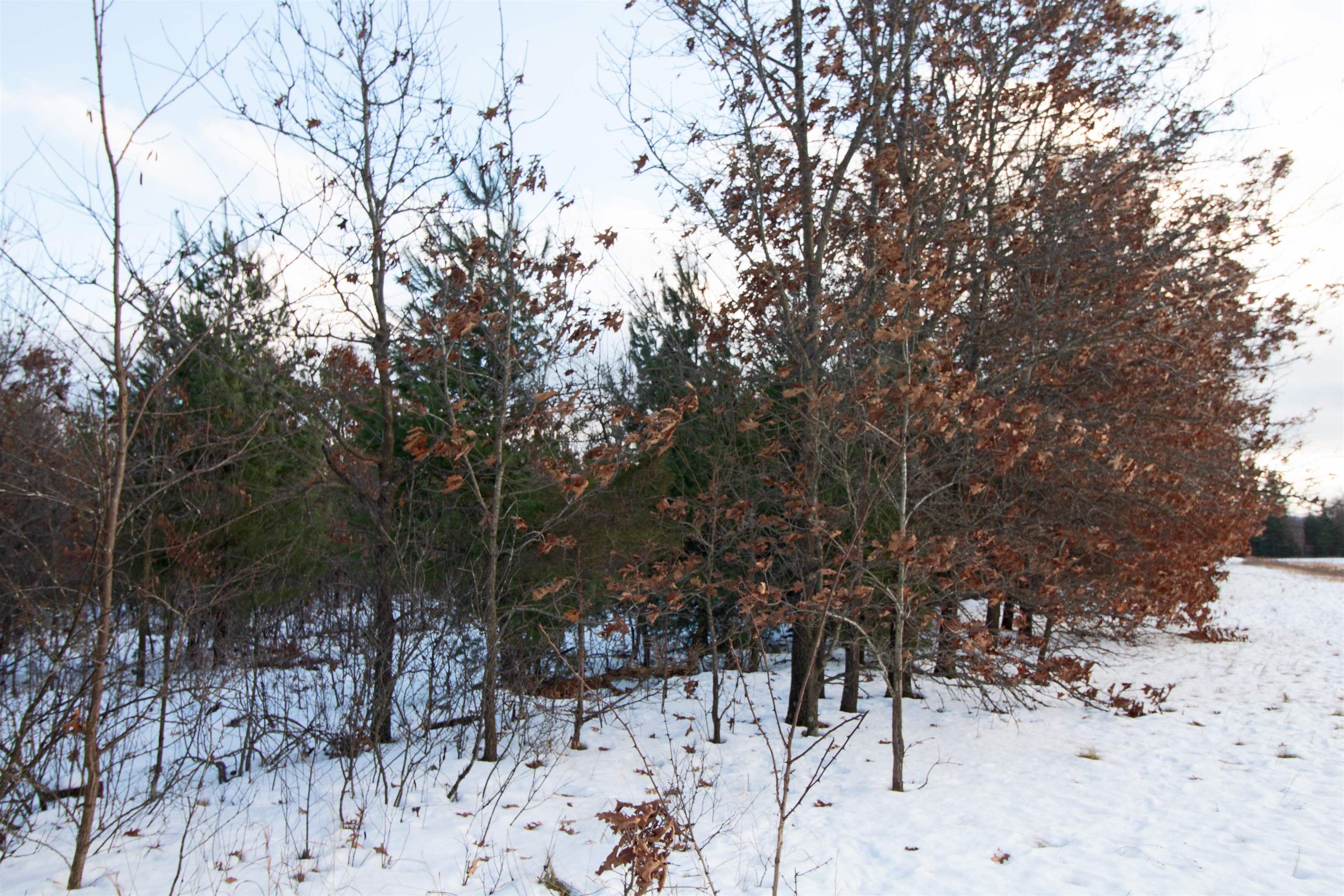 Lot20 Timber Spring Green, WI 53588 - Photo 15 of 28
