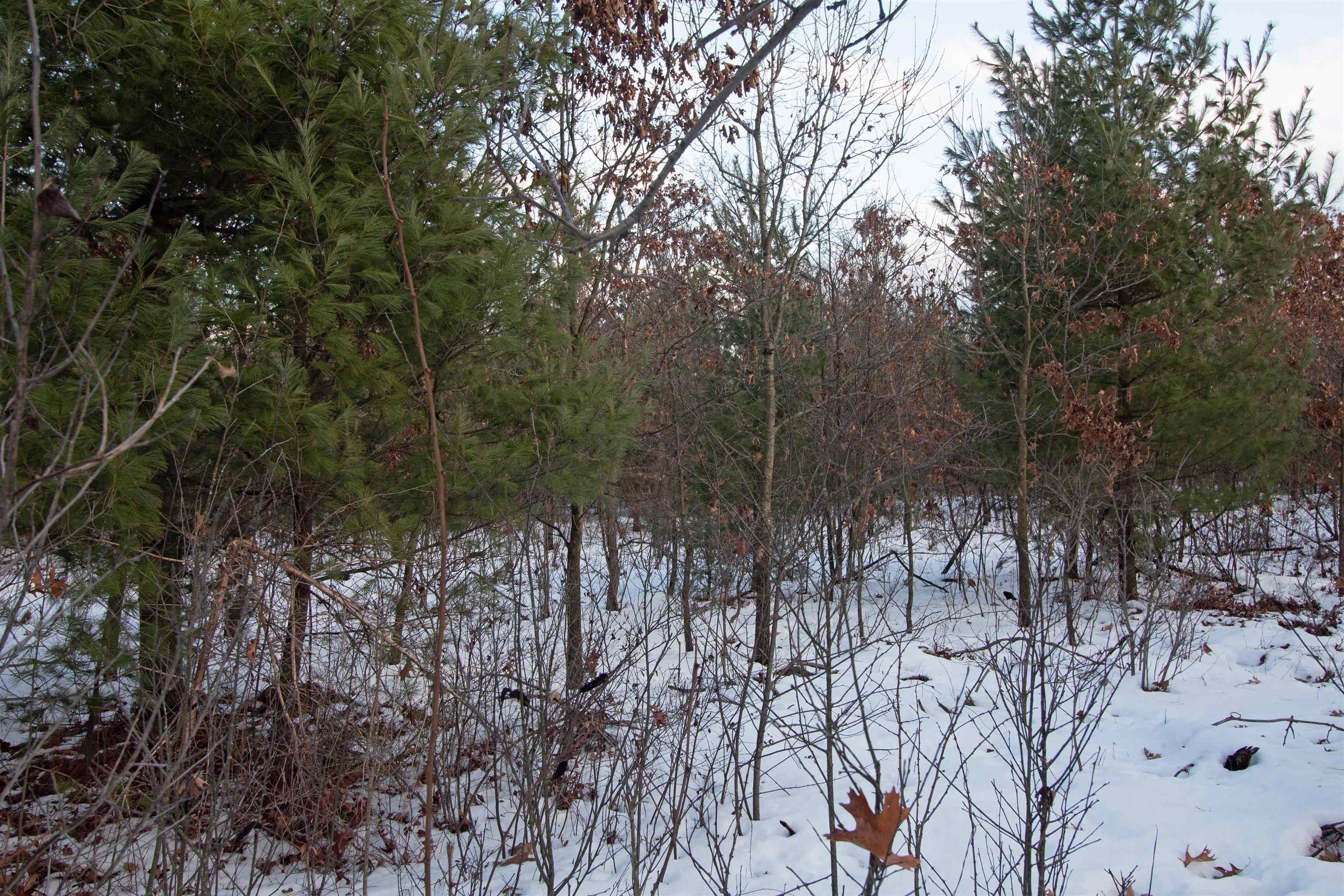Lot20 Timber Spring Green, WI 53588 - Photo 16 of 28