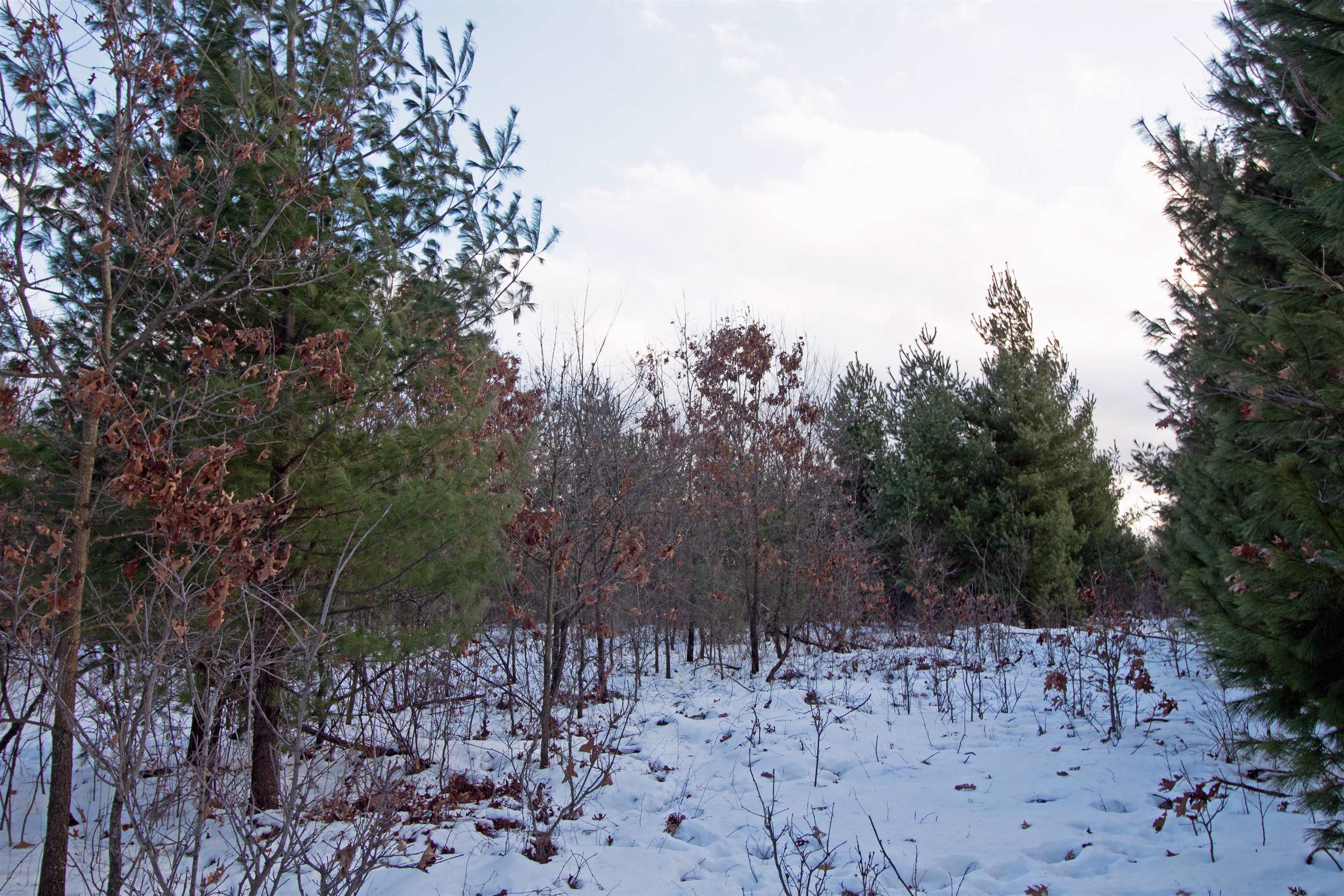Lot20 Timber Spring Green, WI 53588 - Photo 17 of 28
