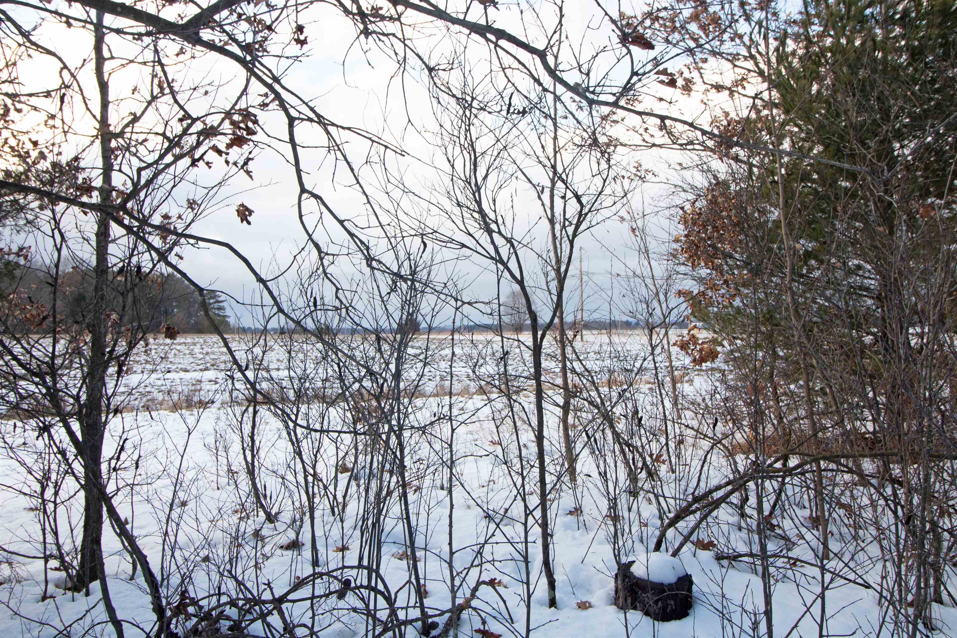 Lot20 Timber Spring Green, WI 53588 - Photo 19 of 28