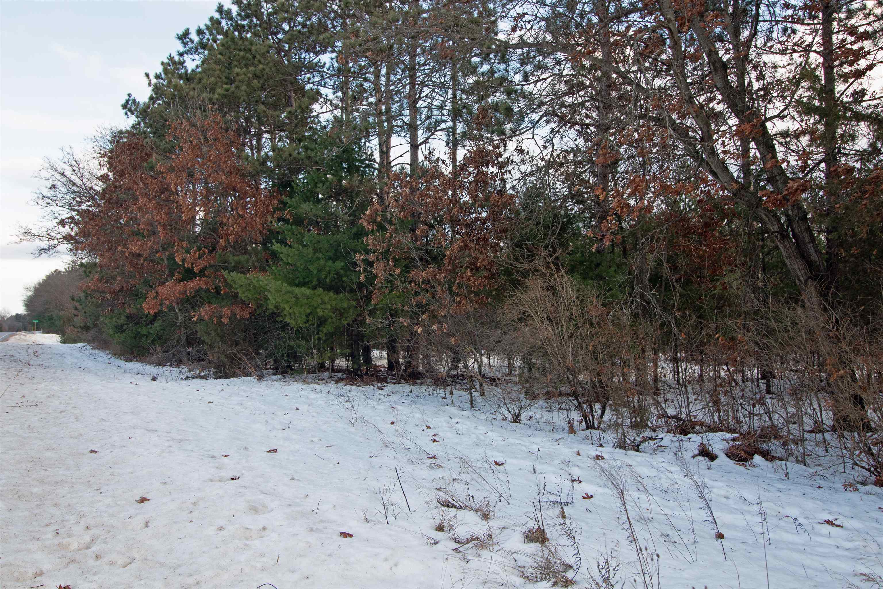 Lot20 Timber Spring Green, WI 53588 - Photo 20 of 28