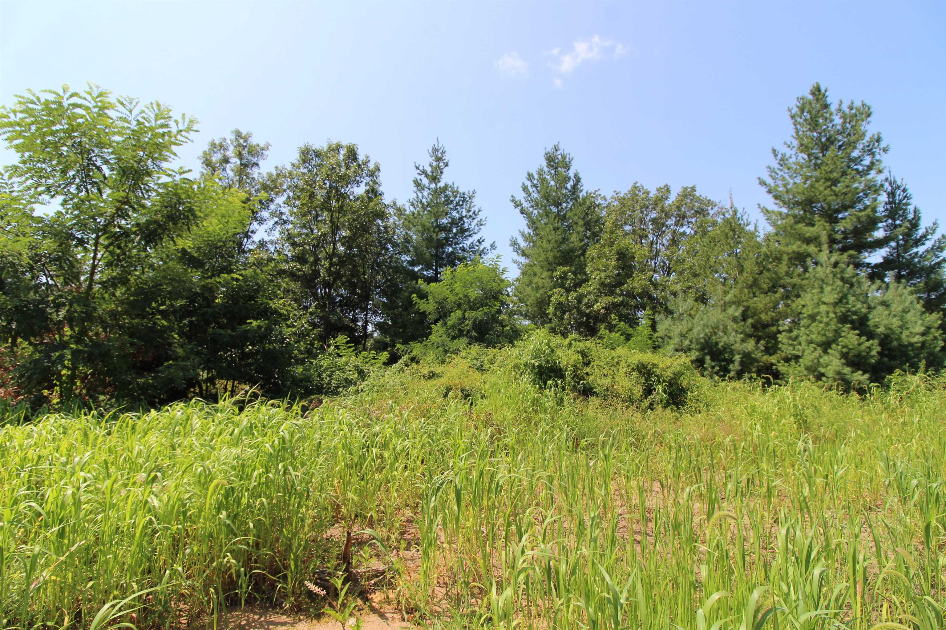 Lot20 Timber Spring Green, WI 53588 - Photo 22 of 28